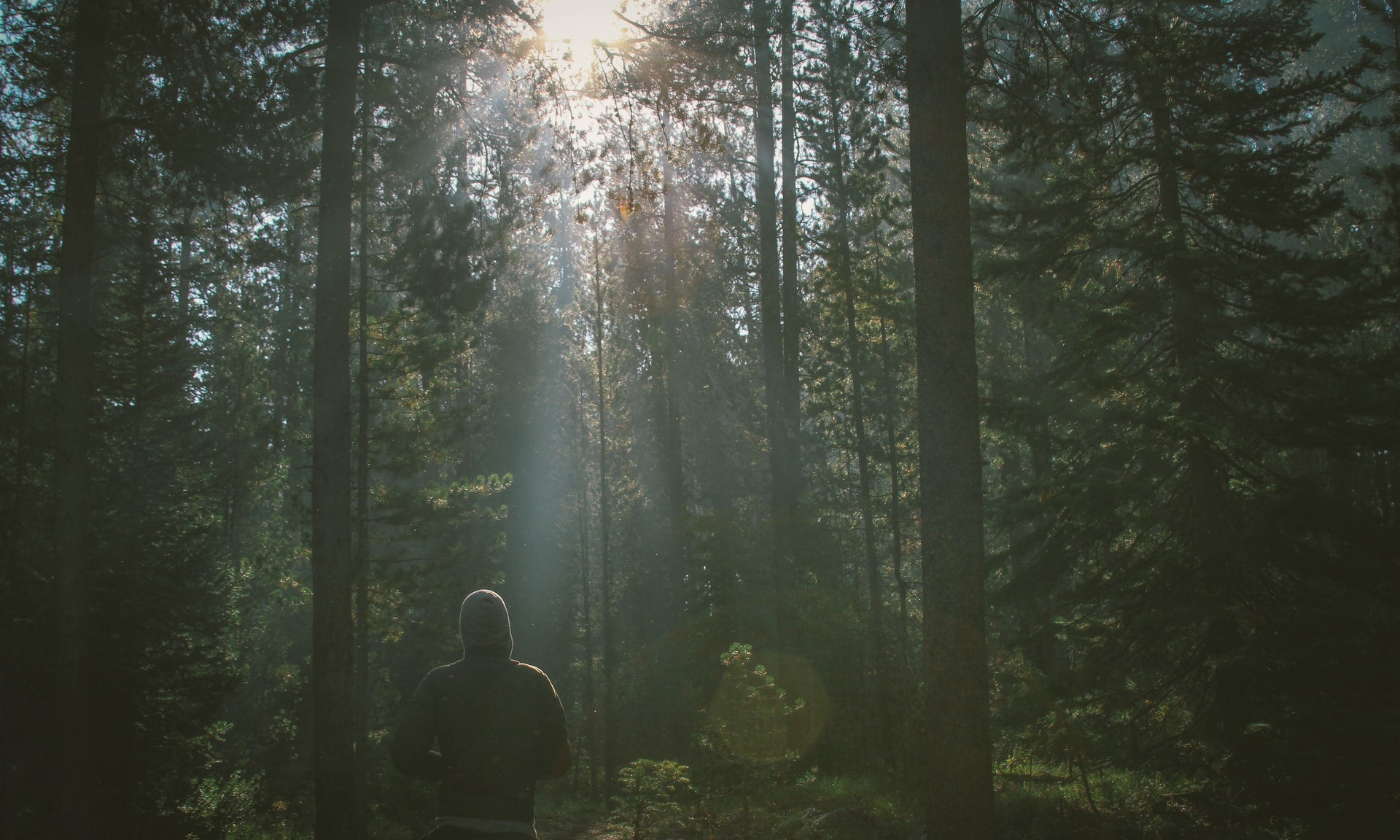 5 Reasons Why You Should Take a Daily Walk