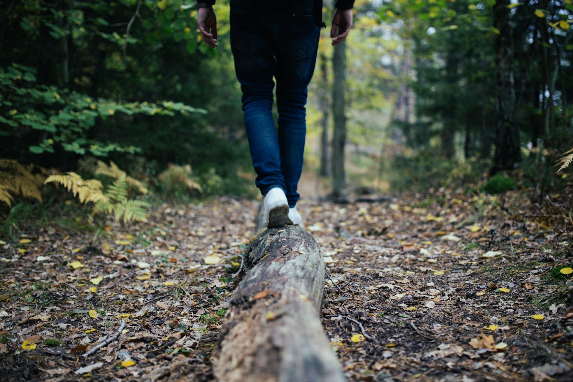 How to Use Nature to De-Stress and Reset