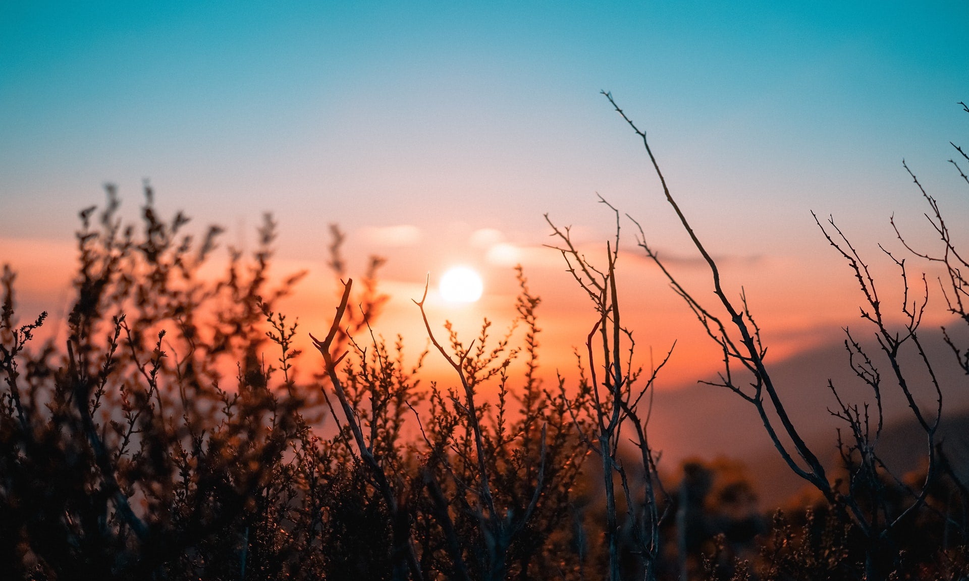 How to Reset Your Circadian Rhythm with Light Exposure