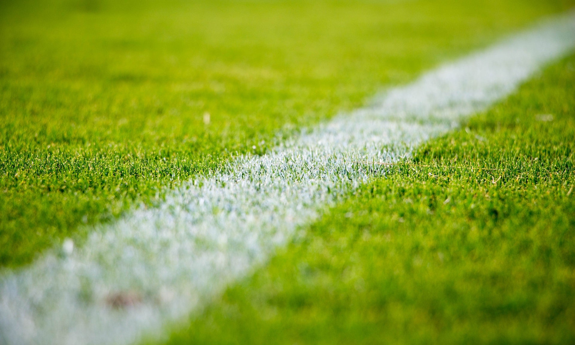 Lessons in Excellence from Bo Jackson, Dirk Nowitzki, and Jim Thorpe