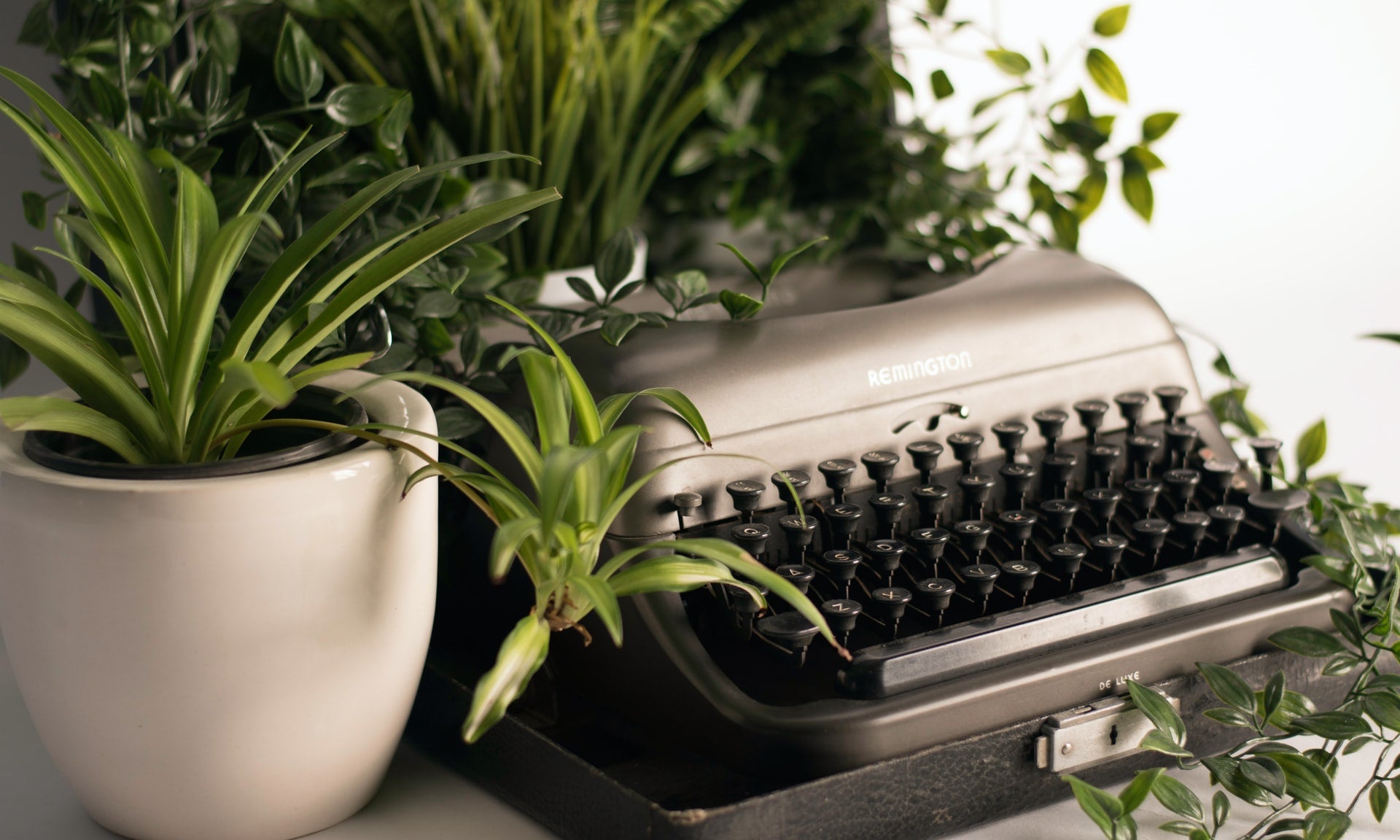 Upgrade Your Home Office With Low-Maintenance, Air-Purifying Plants