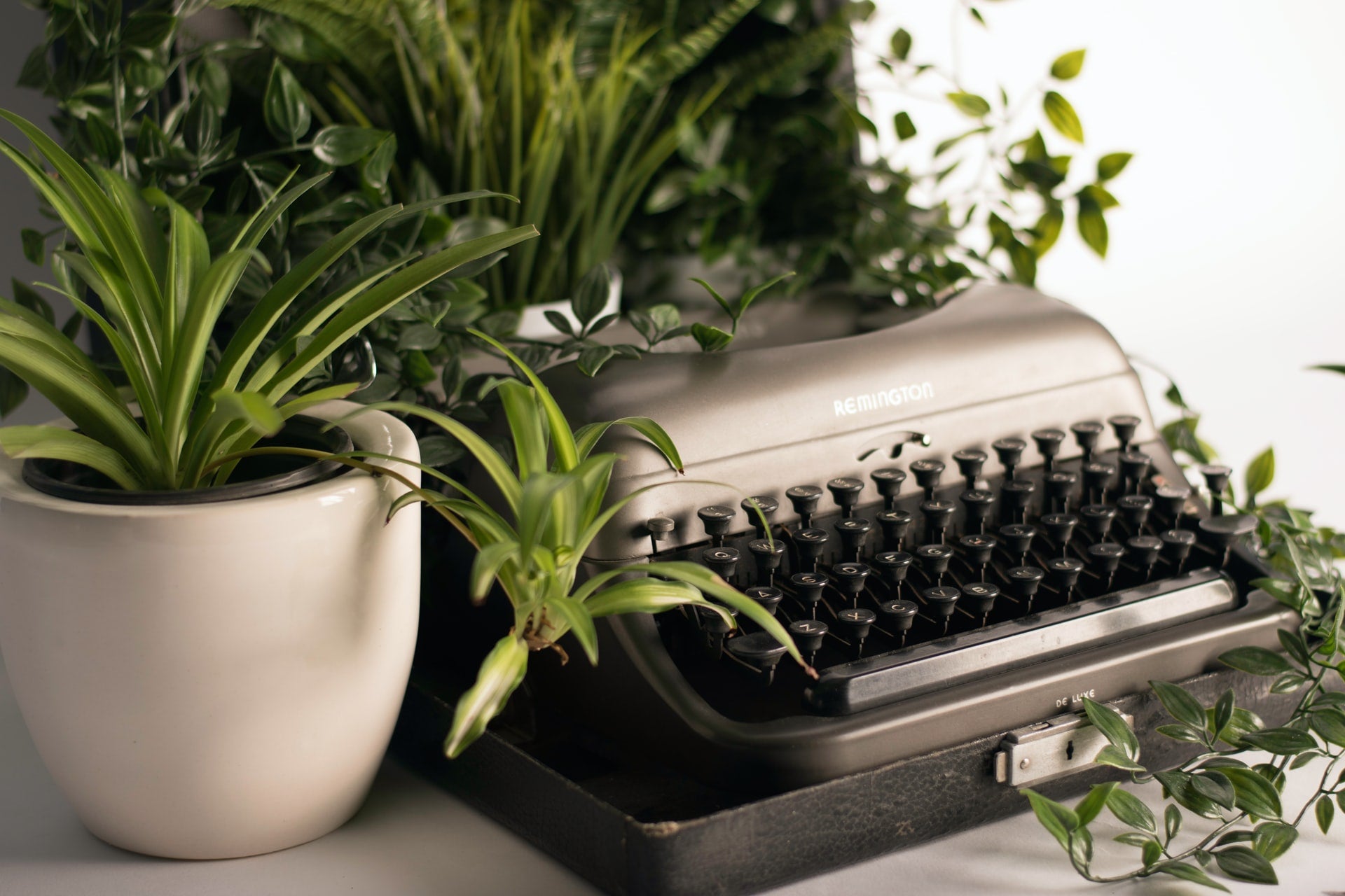 Upgrade Your Home Office With Low-Maintenance, Air-Purifying Plants