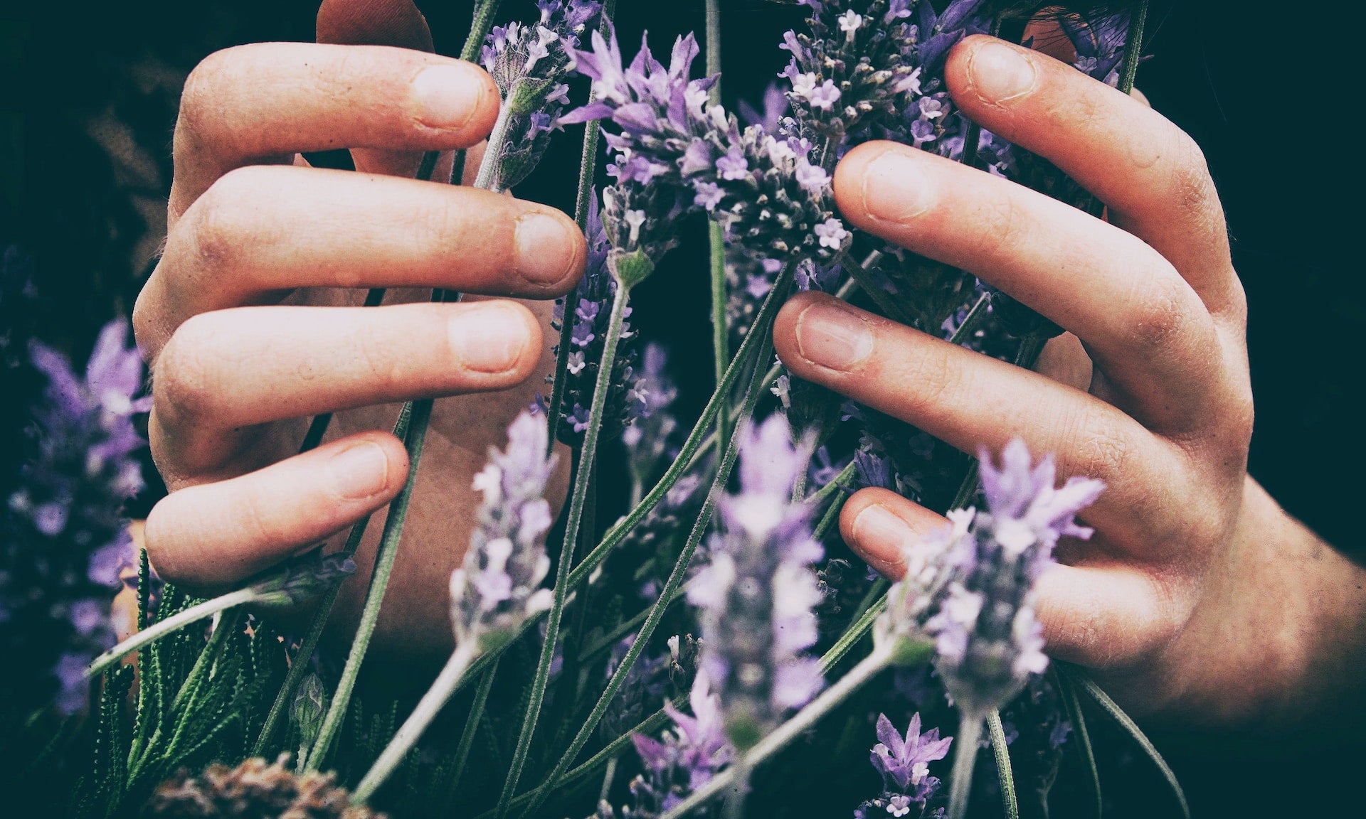 4 Ways to Practice Essentialism