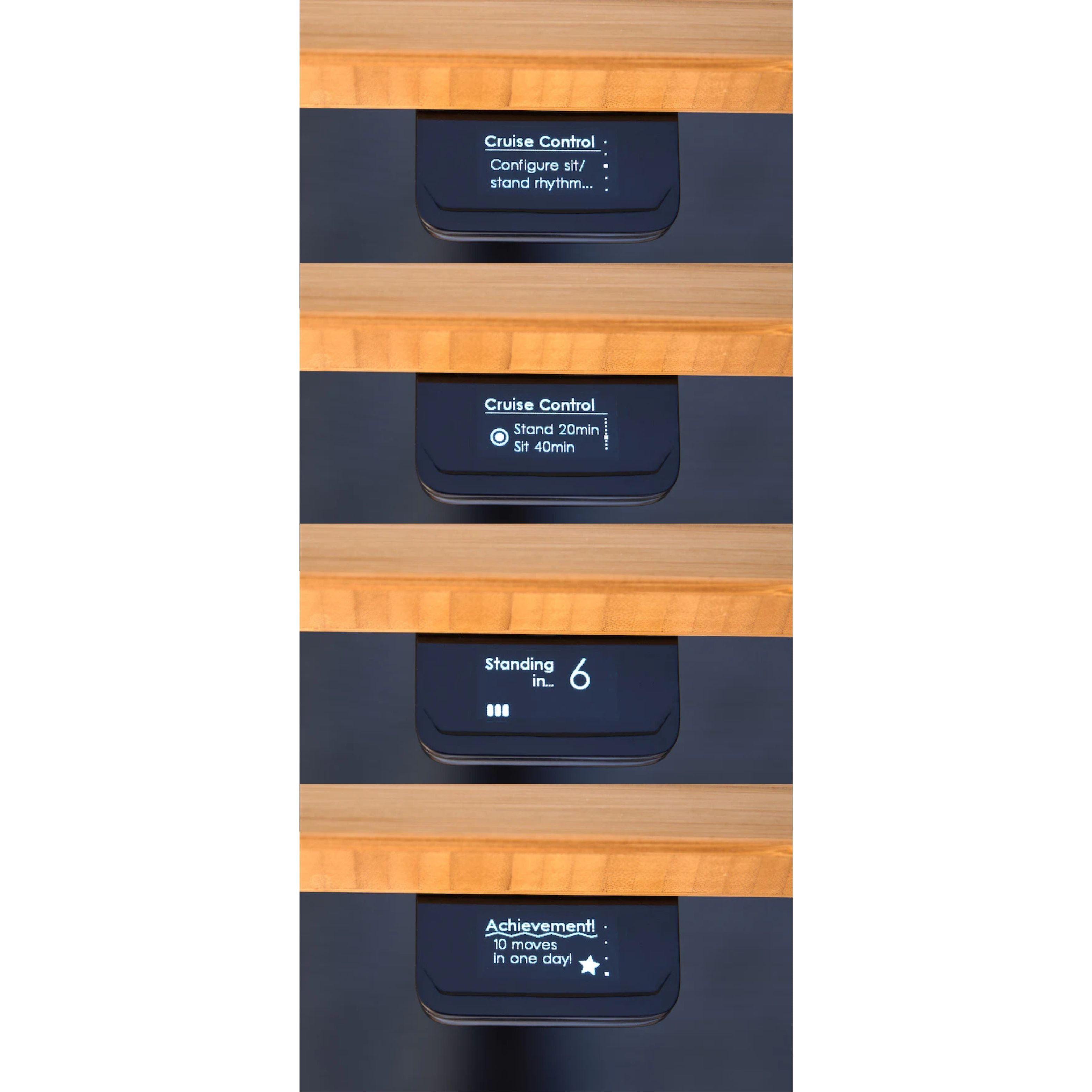 Ridge_Product_Shots-28.jpg