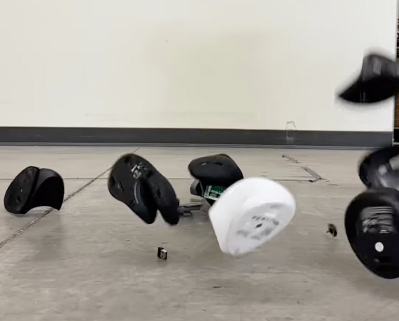 "Dozens of Mice"