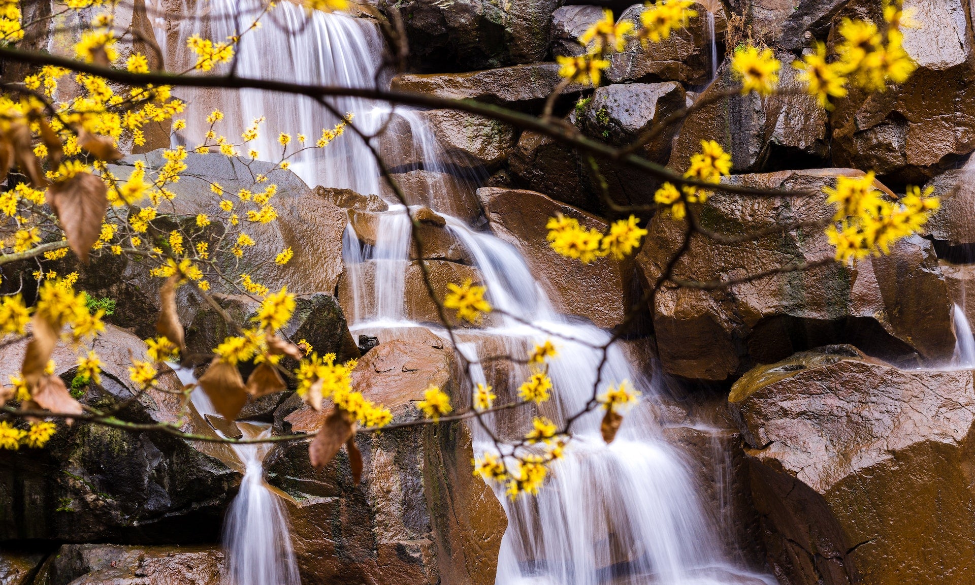 3 Reasons You Should Switch to Drinking Spring Water