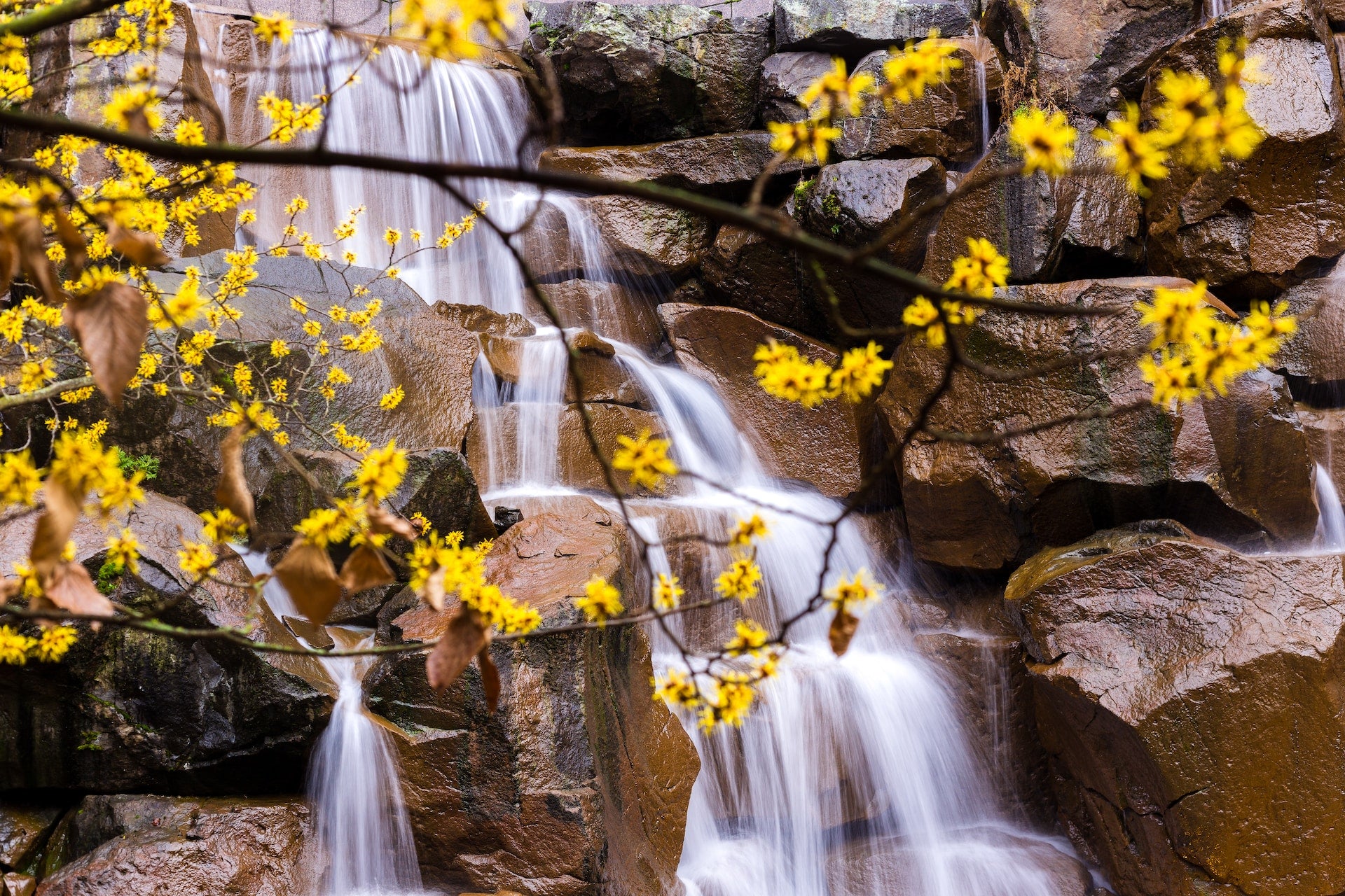 3 Reasons You Should Switch to Drinking Spring Water