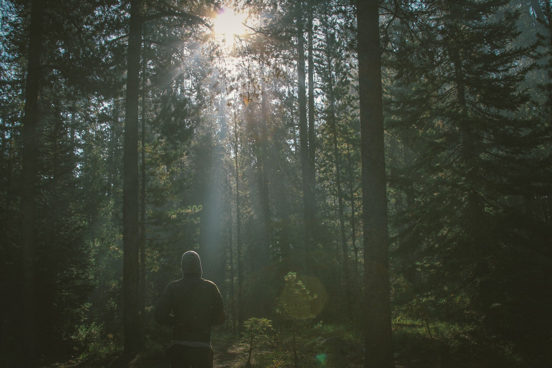 5 Reasons Why You Should Take a Daily Walk