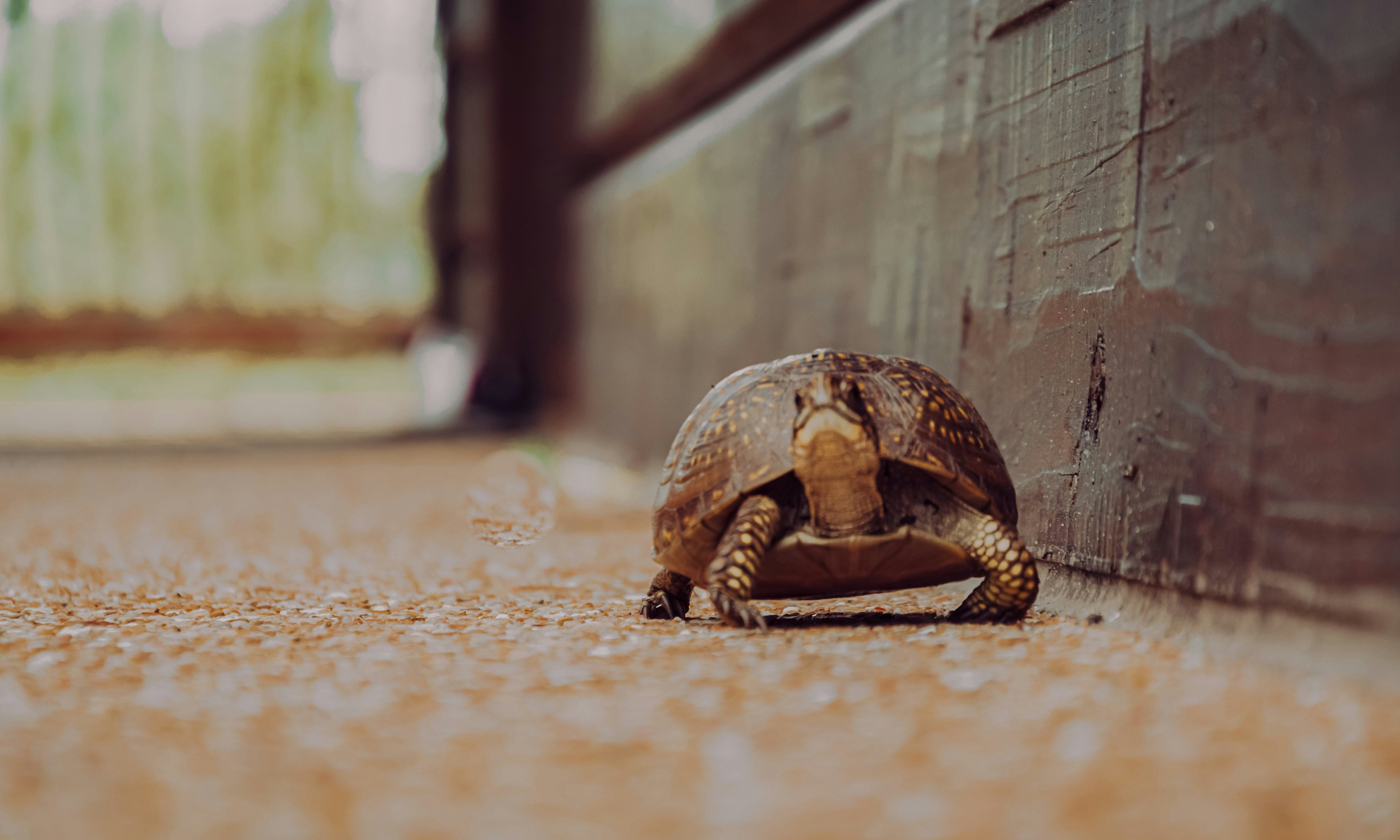 How to Embrace Slow Productivity