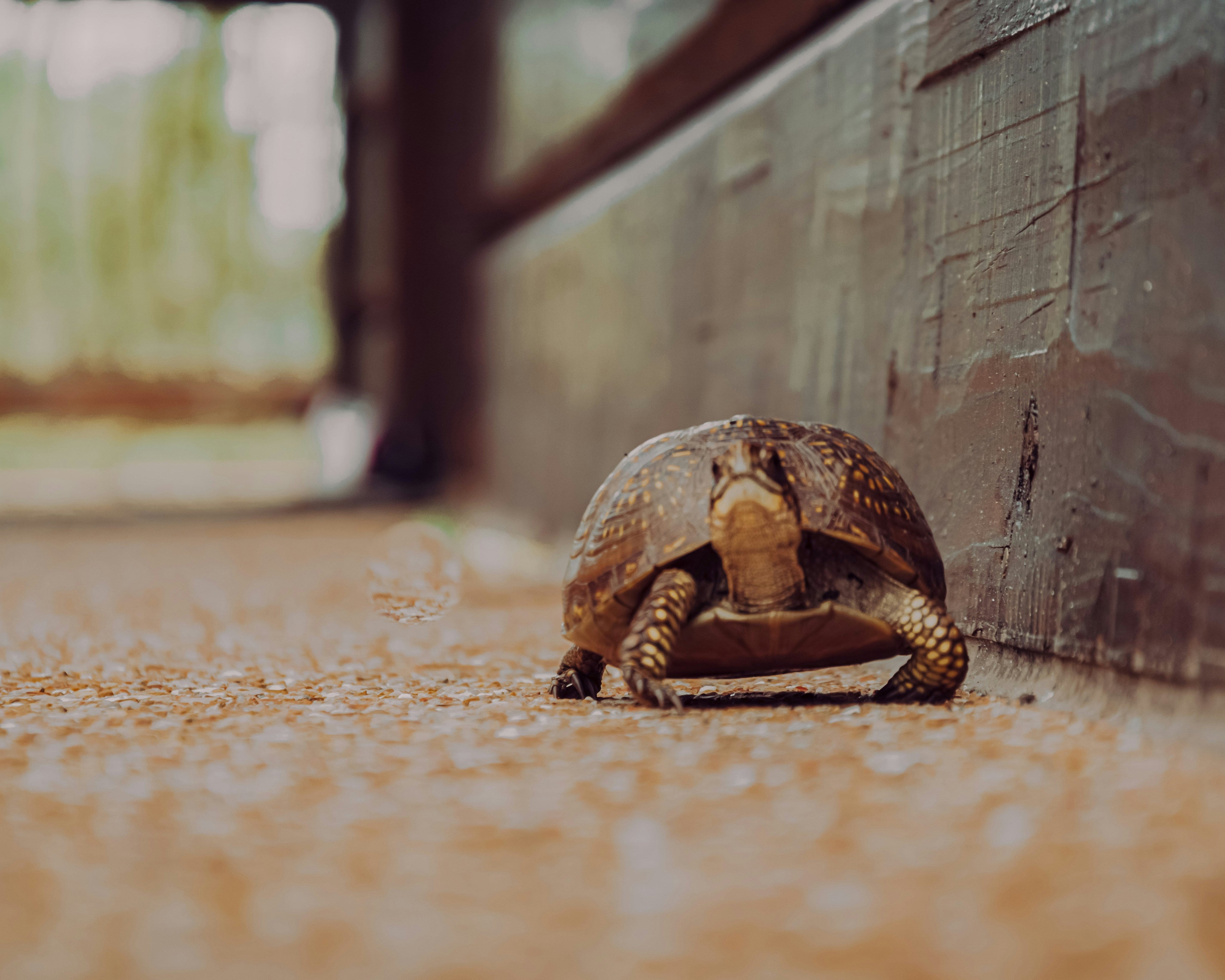 How to Embrace Slow Productivity