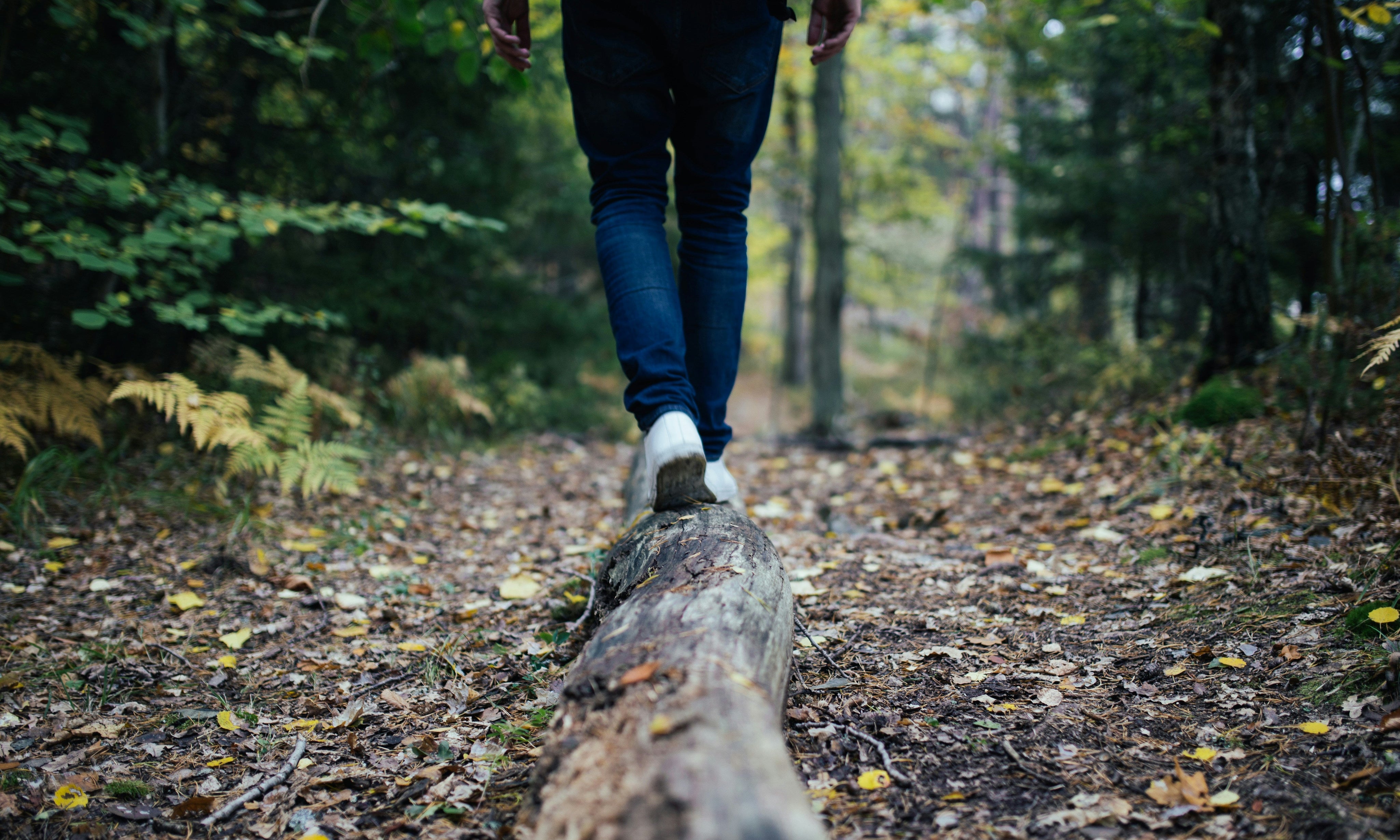 Why Daily Movement is as Vital as Your Workouts and How to Fit More In