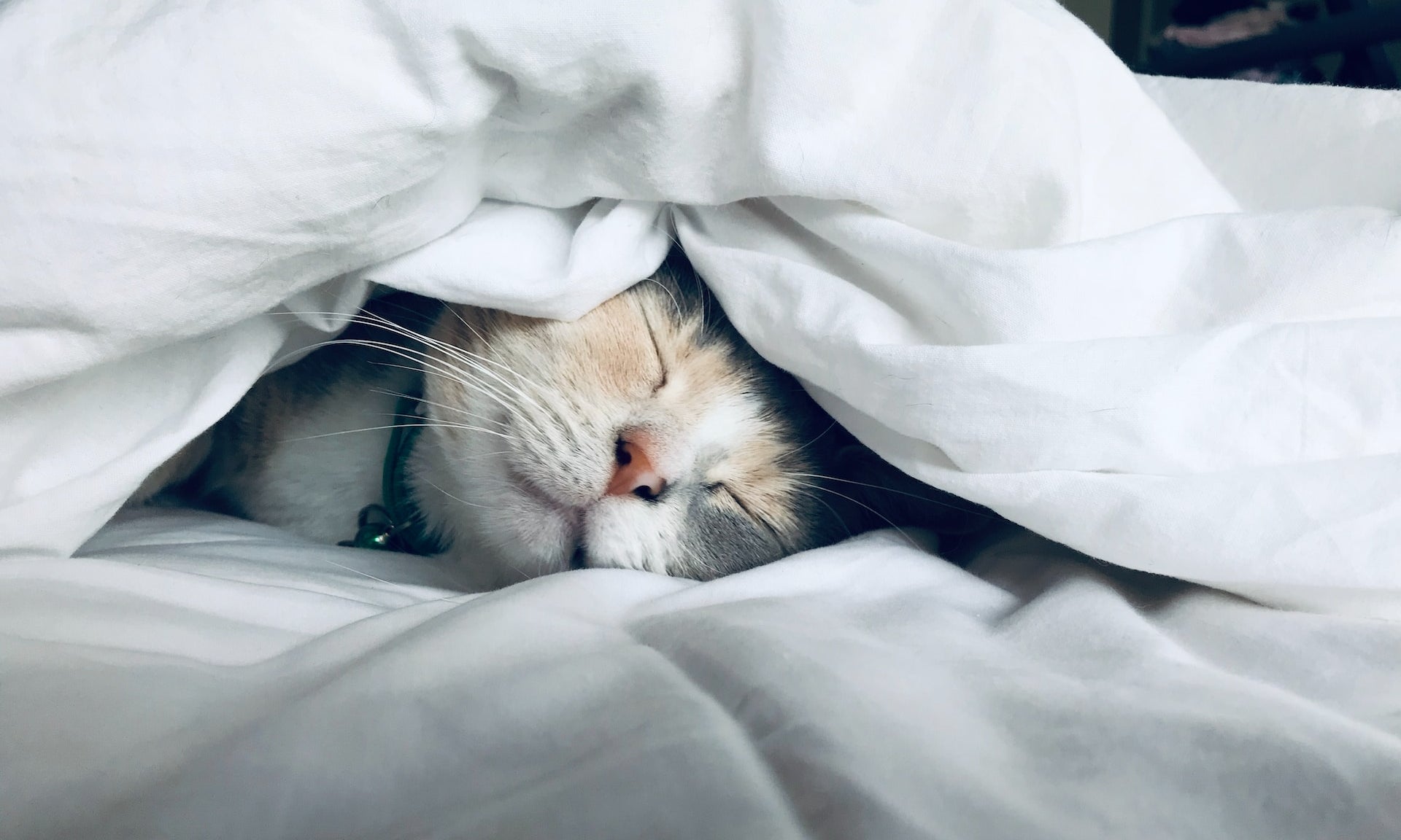 4 New Sleep Aids to Improve Your Recovery