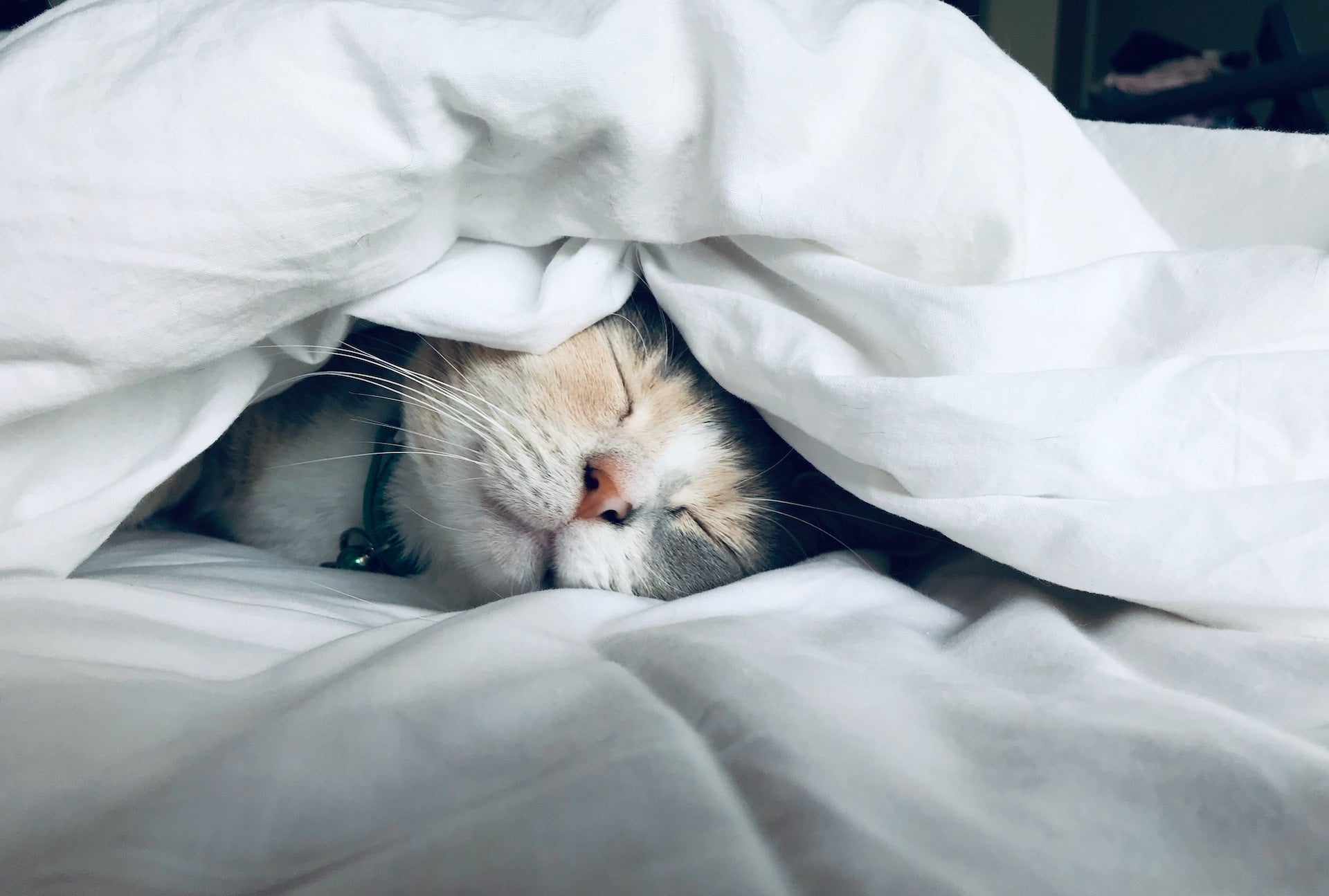 4 New Sleep Aids to Improve Your Recovery