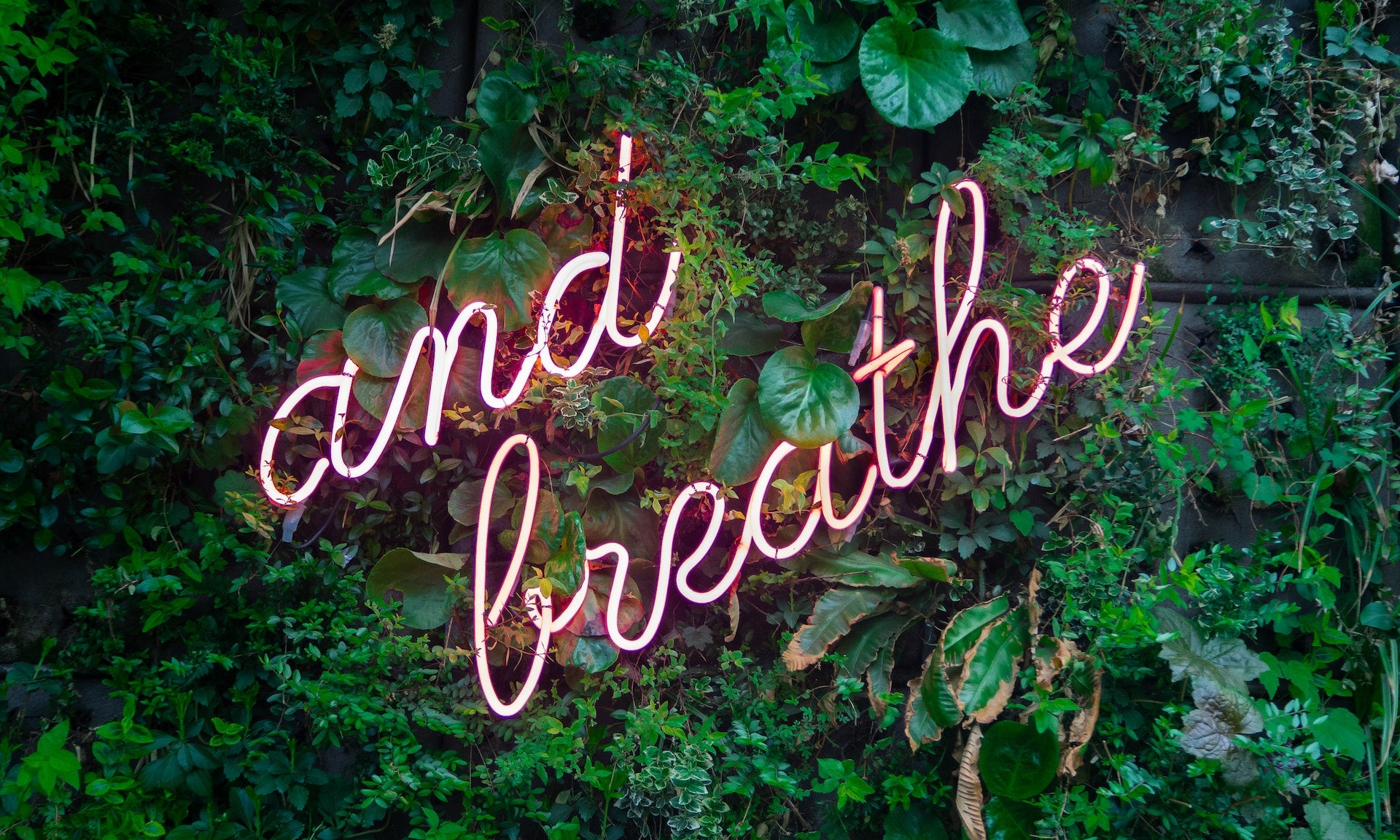 How to Use Breathing to Change Your Physical and Emotional State