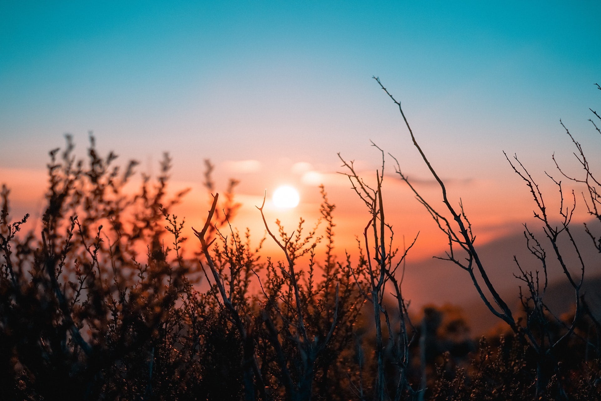 The Science of Morning Light: Resetting Your Circadian Rhythm
