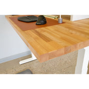 The Ergodriven Tempo Standing Desk