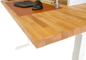 The Ergodriven Tempo Standing Desk