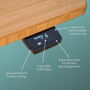 Tempo Automatic Standing Desk by Ergodriven