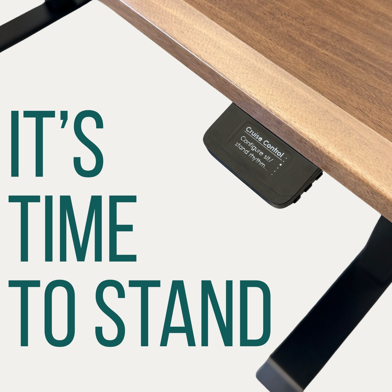 Tempo Automatic Standing Desk by Ergodriven