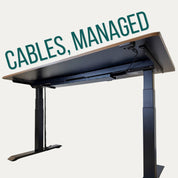 Tempo Automatic Standing Desk by Ergodriven