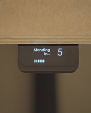 Tempo Automatic Standing Desk by Ergodriven